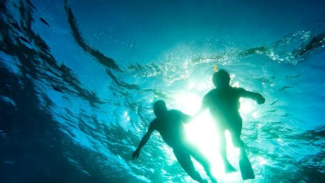 Punta Cana: Schnorcheltour zur Insel Catalina mit Mittagessen — Guided tour and outdoor activity