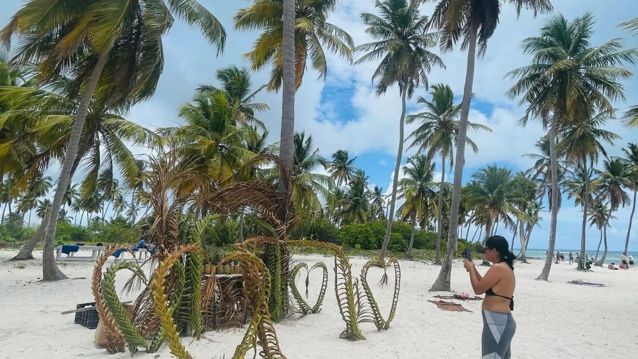 Ganztägige Kreuzfahrt zur Isla Saona ab Santo Domingo mit Mittagessen — Guided tour and outdoor activity