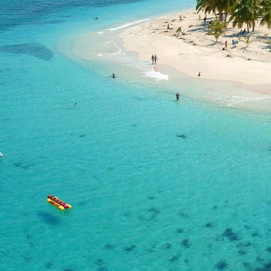 Z Punta Cana: Celodenní výlet Samana autobusem a lodí — Guided tour and outdoor activity