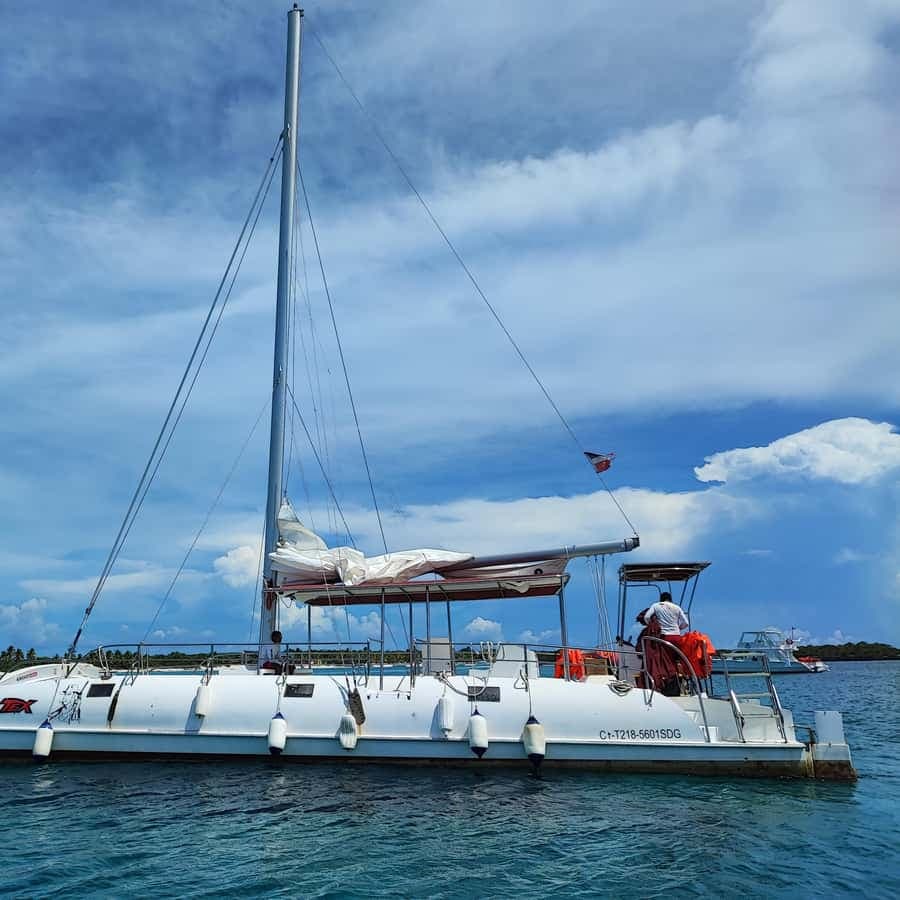 Catalina Island snorkeling: by Catamaran All inclusive — Guided tour and outdoor activity